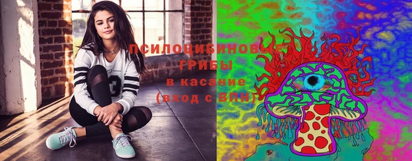тгк Кодинск