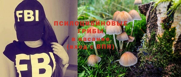 амфетамин Козельск