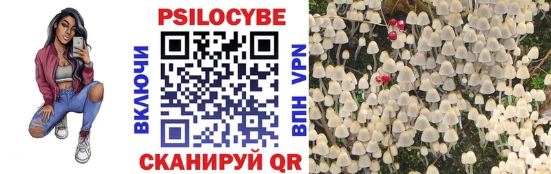Галлюциногенные грибы мицелий  Купить где  Бавлы 