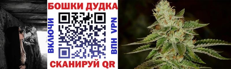 Купить где  Бавлы  Бошки Шишки OG Kush 